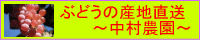 中村農園
