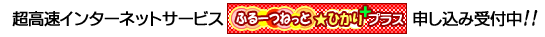 ふるーつねっとひかりプラス
