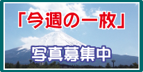 今週の一枚