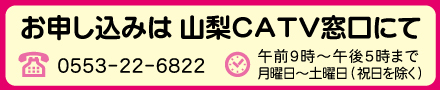 \݂͎RCATVɂ