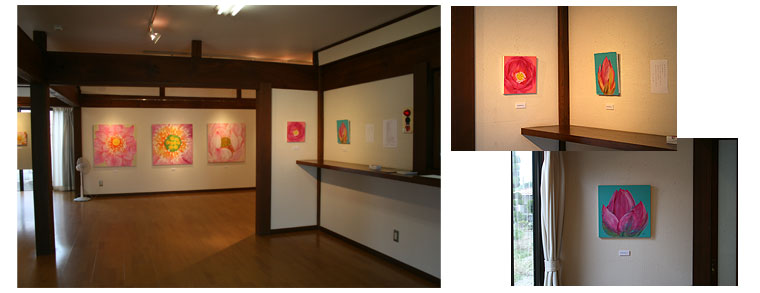 展示の様子