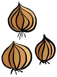 たまねぎイラスト