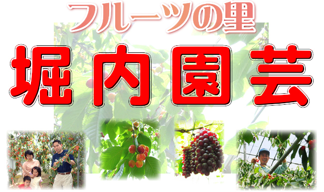 フルーツの里　堀内園芸へようこそ