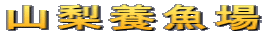 �R���{����