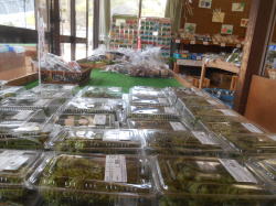 �_�Y���̔��R�[�i�[