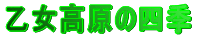 ���������̎l�G