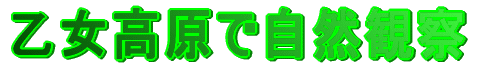 ���������Ŏ��R�ώ@