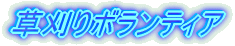 ���������t�H�[����