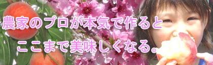 �Â��Ĕ����������̒����y�[�W��