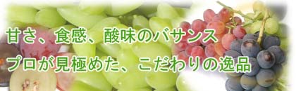 �Ԃǂ��̒����y�[�W��