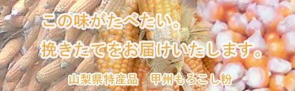 �b�B�@�Ƃ����낱�����̒����y�[�W�ցB�H���A�����M�[�L�ǎ҂̔񏬔��A��āA�񂻂΂̎�H�Ƃ��Ă̗��p�B�����ŗL��̂��߈�`�q�g�݊����Ƃ����낱���͑��݂��Ȃ��B