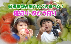 �R���@�����@���R�~�@���n�@�d����