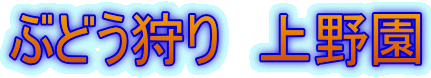 �Ԃǂ����@��쉀
