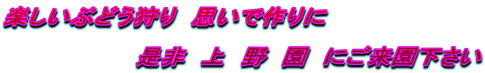 �y�����Ԃǂ����@�v���ō���
�@�@�@�@�@
�@�@�@�@�@�@�@�@����@��@��@���@�ɂ�����������
