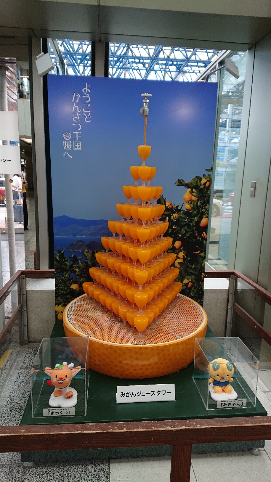 愛媛に1