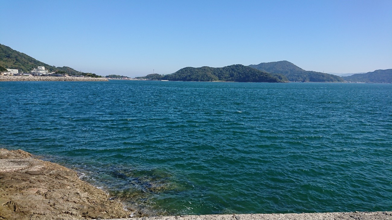 令和2年11月13日撮影2