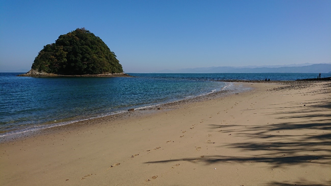 令和2年11月13日撮影3