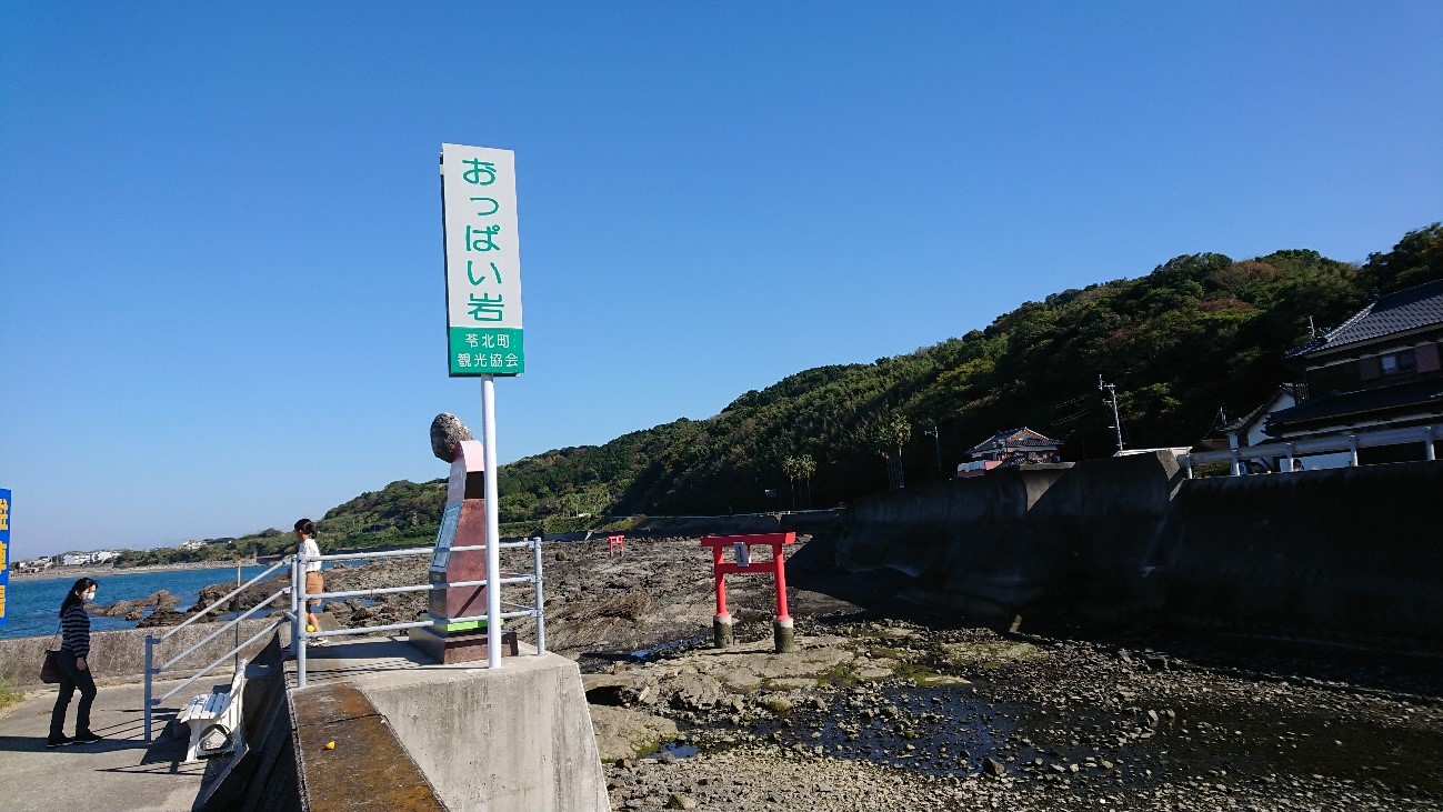 令和2年11月13日撮影4