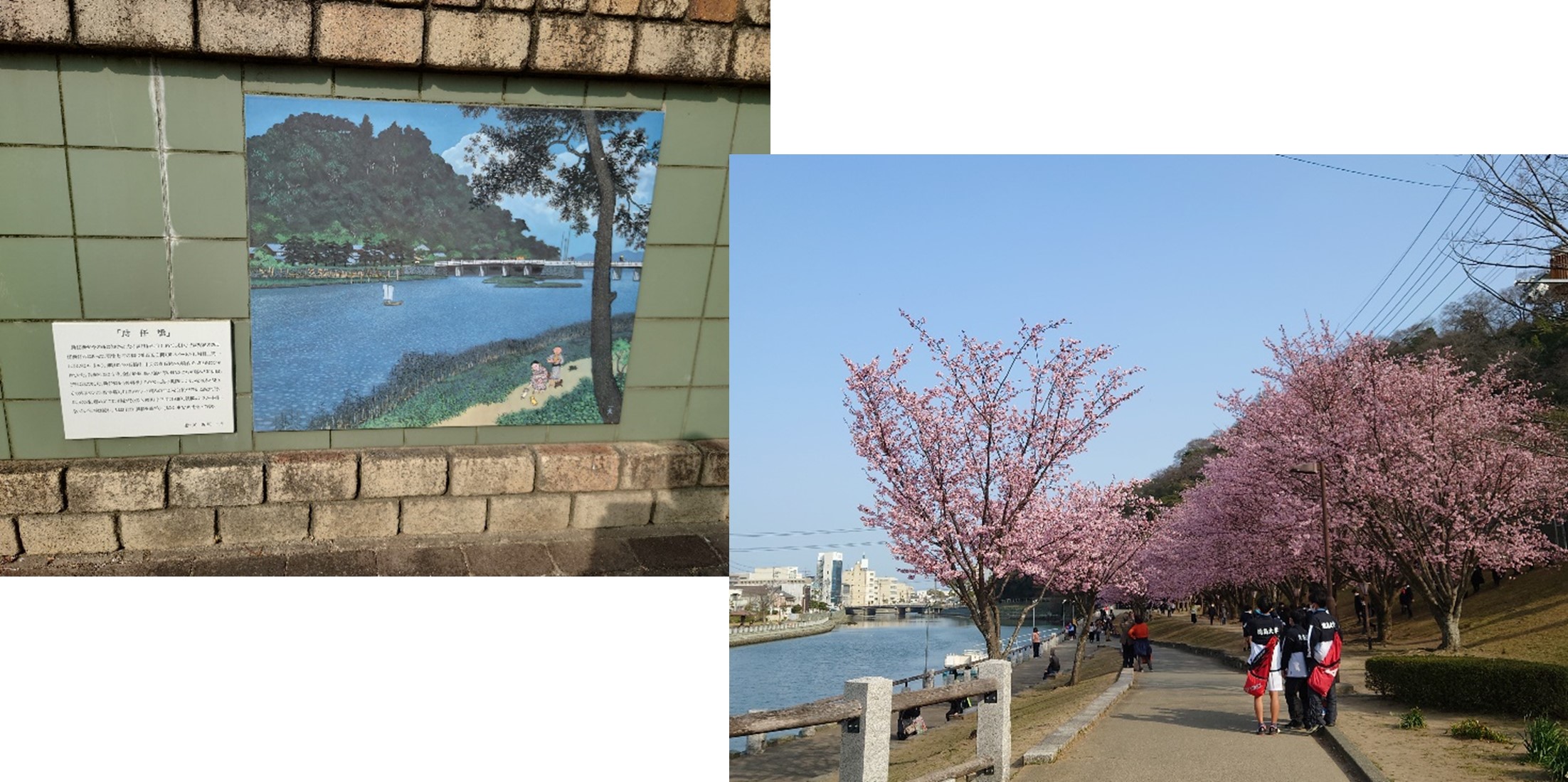 令和5年3月撮影5