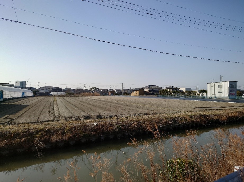 令和5年3月撮影8