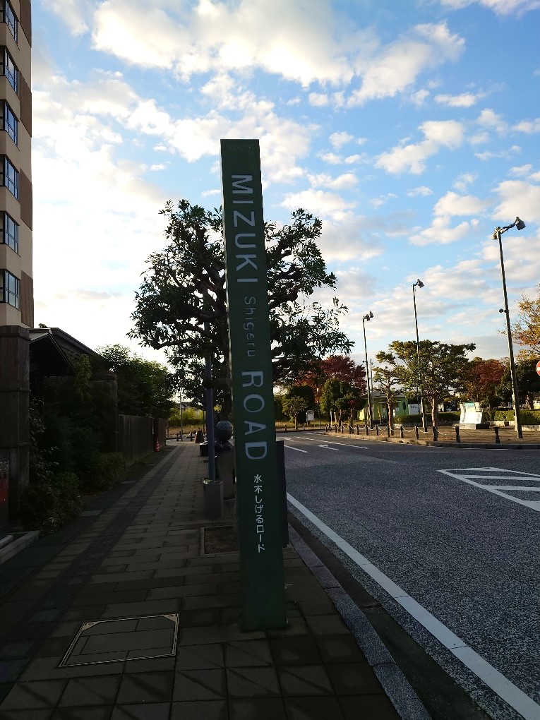 令和5年3月撮影19