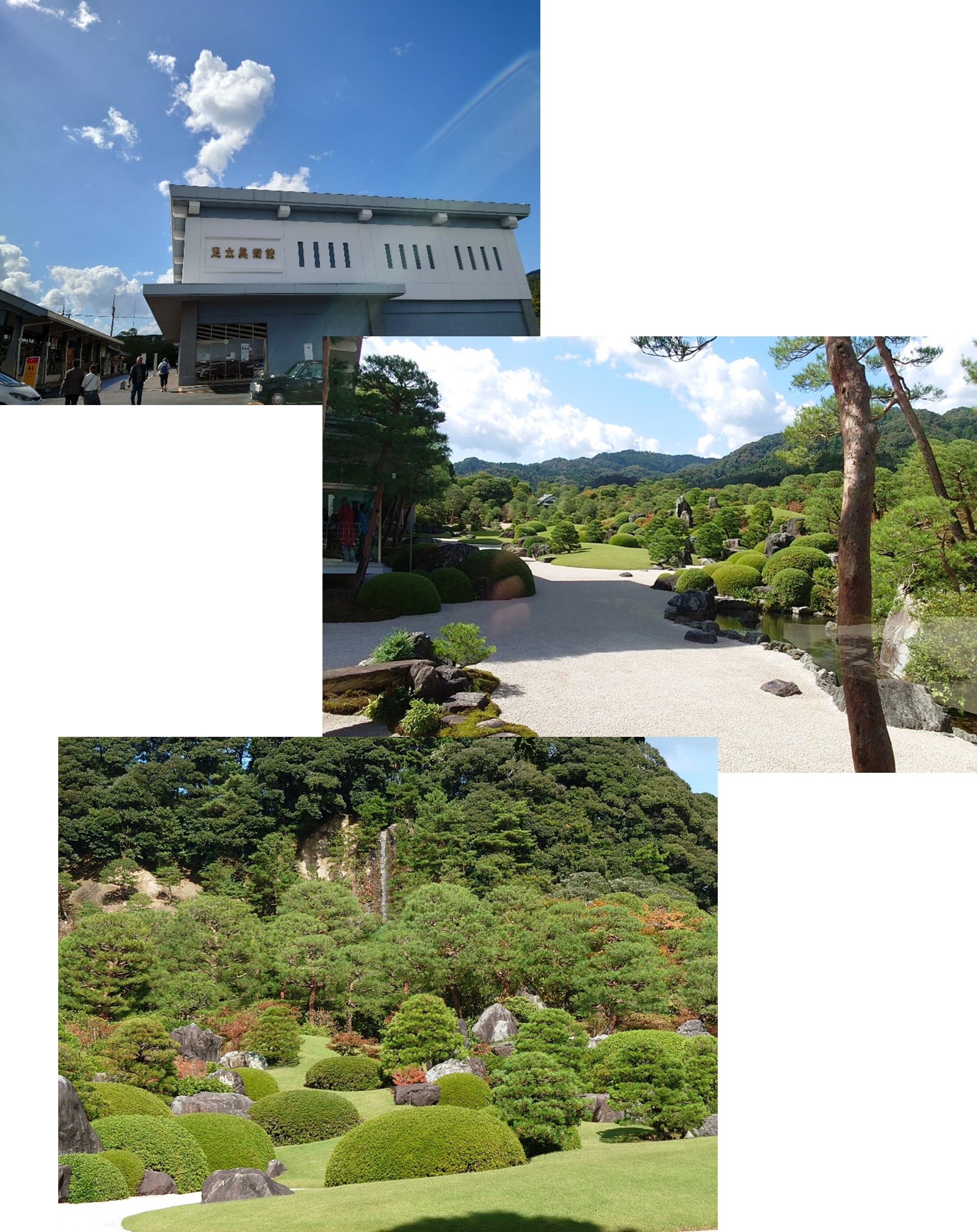令和5年3月撮影24